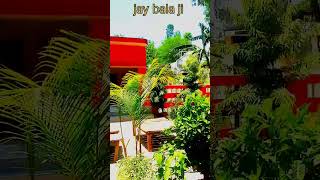 Bala ji balaji video lofi [upl. by Sharlene]