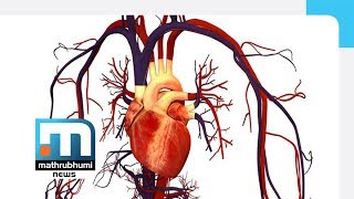 Damages To Heart Valves Doctor 2PM Mathrubhumi News [upl. by Ennovyhs677]