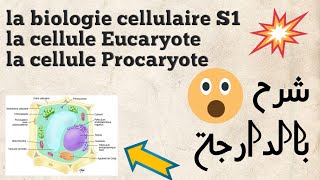 Biologie Cellulaire  la cellule Eucaryote et la cellule Procaryote  شرح بالدارجة [upl. by Chellman]