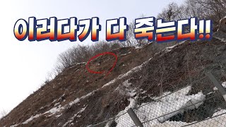 긴급출동  멸종위기 동물들이 90도 절벽에 매달려있다  빨리 배달해야 한다  Saving a mountain goat isolated in the snow [upl. by Oby]