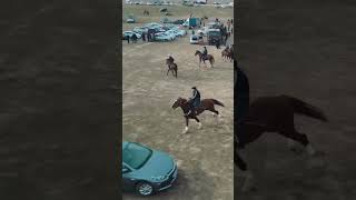 horse kingtjk duet wwe rek Tajikistan 🇹🇯 Uzbekistan 🇺🇿 wwe cowboys rek [upl. by Rhines525]