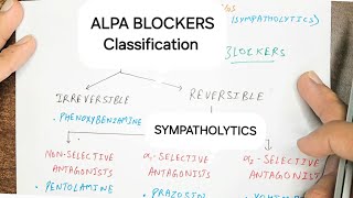 Alpha blockers Classification  Antiadrenergic Drugs  Pharmacology [upl. by Cummings336]