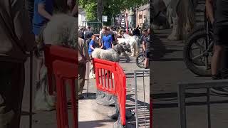 Appleby Horse fair 2023 Wednesday before it starts [upl. by Inhsor]