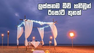 Beach Honeymoon in Wadduwa  Sri Lanka  Ayana Sea [upl. by Aerehs]