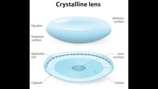 Insufficiency of accomodation  Accommodative anomalies  optometry sharp vision [upl. by Skelton]