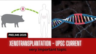 XENOTRANSPLANTATION  CURRENT AFFAIRS VERY IMPORTANT TOPIC  Daily quiz  currentaffairs upsc [upl. by Nai]