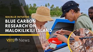 Australian Scientists Conduct Blue Carbon Research on Malokilikili Island  VBTC News [upl. by Redle]