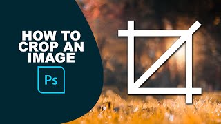 How to crop an image in Photoshop [upl. by Atinas658]