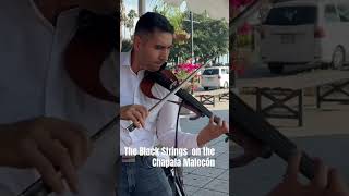 ChapalaMéxicoThe Black Strings At the Chapala Malecón [upl. by Silverts]