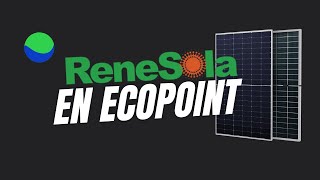 ReneSola en Ecopoint [upl. by Nelleus]