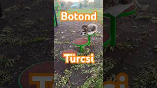 Botond Türcsi 😲🐶😉 [upl. by Ainsley]