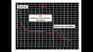 Croissance normale et pathologique Dr CHATER [upl. by Desai676]