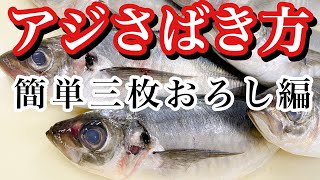 アジのさばき方 初心者の方でも出来る三枚おろし 大名おろし〜寿司下処理からにぎりまで [upl. by Ltsyrk480]