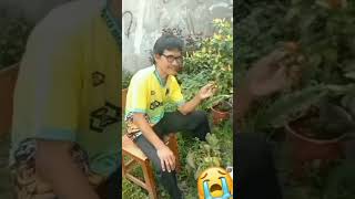 HIDUP EMANG BERATBA lucu videoshort ngakak comedy bababakoy bakoy [upl. by Burrell105]