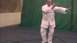 Wudang Tai Chi Chuan with Ian Cameron [upl. by Renell]