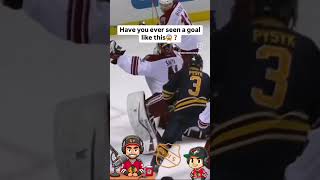 Watch THIS hockey nhl sports crazygoals crazy coyotes arizona hockeyshorts sportsshorts [upl. by Lessur]