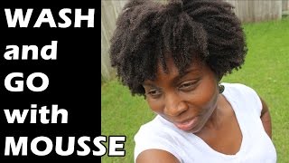 Wash and Go 4B 4C Natural Hair with Giovanni Natural Mousse [upl. by Pansie]