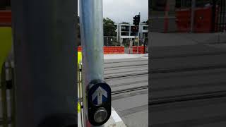 New Sydney Light Rail signalised crossing [upl. by Nefen]