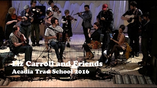 Liz Carroll amp Friends  Tarboltan Trad The Foxhunters Reel Trad  Acadia Trad School 2016 [upl. by Orravan]