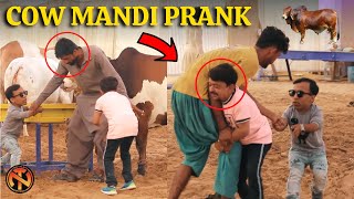 Fibbi Cattle Farm Prank  Cow Mandi 2021  New Talent [upl. by Treva]