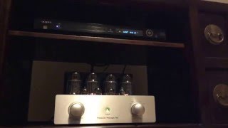 Ryan Adams Primaluna ProLogue Two Tube Amp [upl. by Phemia849]