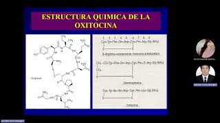 Farmacología Obstetricia 2024 II Farmacología uterina [upl. by Shrier]