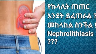 What is Nephrolithiasis  የኩላሊት ጠጠር ምንድን ነው  መከላከል ስንችል [upl. by Haerb]