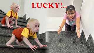 First Lesson in Life Lucky and the First Stairs [upl. by Heman]