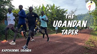 Follow a Ugandan athletes taper for a half marathon race [upl. by Milda84]