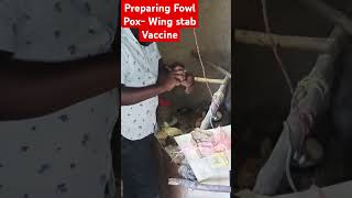 Preparing Fowl Pox Wing stab Vaccine poultryfarming [upl. by Meara]