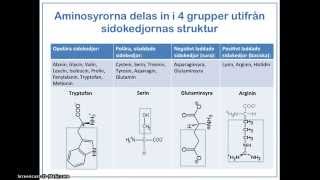 Proteinernas uppbyggnad funktion och indelning [upl. by Rois]