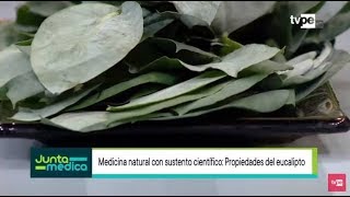 Conoce las propiedades medicinales del Eucalipto Junta Médica TV Perú [upl. by Pellet]