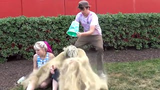 Throwing Sand On People Prank [upl. by Esoj229]