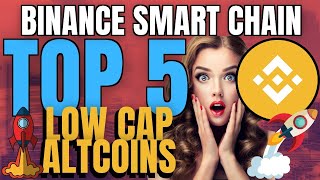 Top 5 Low Cap Coins on BSC  Binance Smart Chain [upl. by Aerdnak]