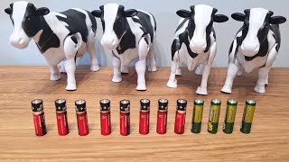 The Complete Polish Cow Set  Unpacking and Testing Crazy Cows [upl. by Goddard307]