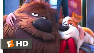 The Secret Life of Pets  Coming Home Scene  Fandango Family [upl. by Dorothy611]