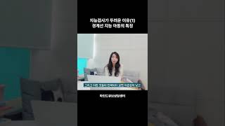 지능 검사가 두려운 부모님들1 [upl. by Elissa]