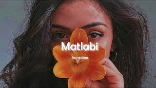 Matlabi Hoja Zara Matlabi 🖤🦋  Slowed Revsrb  Lofi Aesthetic Status  Love Status [upl. by Mailliw]