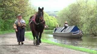 Canal boat horses  Bingley Five Rise [upl. by Alex]