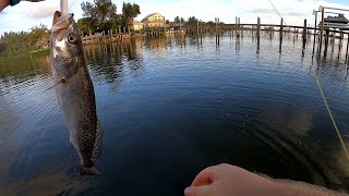 Catching speckled sea trout in Wabasso Florida [upl. by Nalod419]