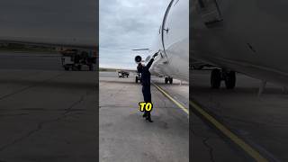 Flight Attendant Opened the Door of Plane First Time shorts [upl. by Nicholle]