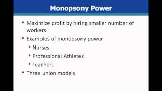 Microeconomics Wage Determination default [upl. by Laikeze]