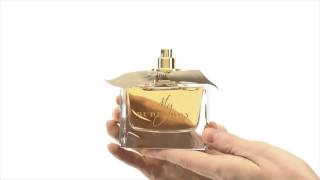 My Burberry Perfume by Burberry Review [upl. by Saeger]