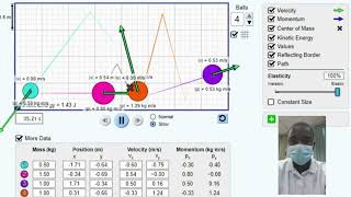 Elastic Collision Simulation  Science Experiment  Virtual Lab Simulation [upl. by Znieh]