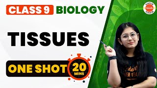 Tissues Class 9 One Shot Revision in 20 Mins  NCERT Class 9th Science Biology  CBSE 2024 [upl. by Arded]