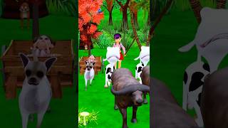 Mai Gaye Charane Jungle me ja rahi hu Gulli Bulli Cartoon shorts comedy cartoon shortsvideo [upl. by Satsok830]