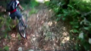 Monte Baldo Downhill Freeride Mountainbike [upl. by Lamiv]