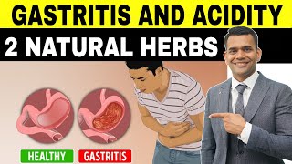 Gastritis Acidity and Indigestion  Ayurvedic Herbs To Treat Gas And Acidity [upl. by Ahsiliw]