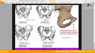 Personal Identity and Trace Evidence Forensic Medicine MCQSSEQSTOS  Proff Prep Series [upl. by Ahsatsan]