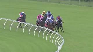 Doomben Tuesday February 13 2024 Race 5 Tonight Soft 5 [upl. by Atkinson]